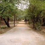 Mehrauli Archaeological Park